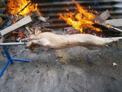 Spanferkelgrill